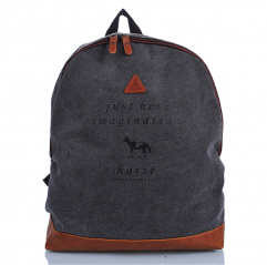 Promotional Hot Selling Fashion School Bag Backpack