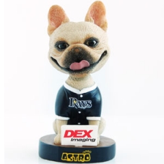 High Quality Customized Rays Dog Resin Bobble Head Dolls