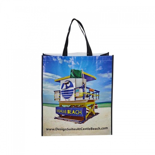 New style 2016 Shopping Bag with Lamination