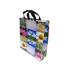 New style 2016 Shopping Bag with Lamination