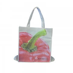 Hot sell  eco-friendly reusable Nonwoven bag Shopping bag