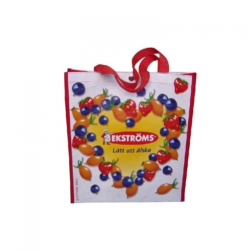 New Style Custom Printing Shopping Bag