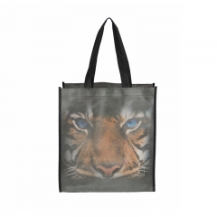Hot sell promotion shopping bag