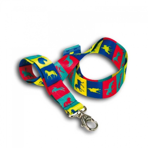 Lanyard for Teenagers ID Card Holder