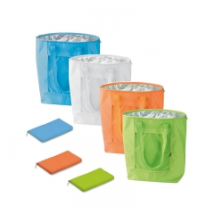 OEM&ODM High-Quality Bag /Plastic Cooler Bag for Frozen Food