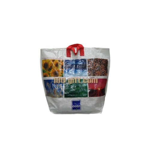 Useful PP Woven Shopping Bag