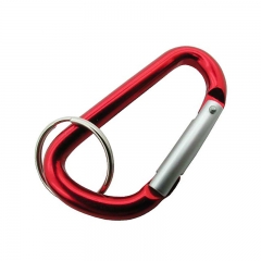 Outdoor Survival Carabiner with High Quality Keychain