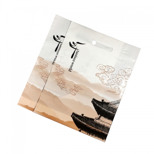 Promotional Logo Printed Packaging Shopping Bag Plastic Bag