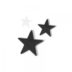 Custom star Label pin